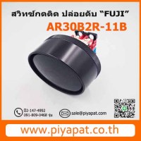 AR30B2r-11B รูปโชว์
